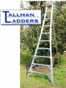 Tallman-ladders